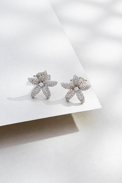 Brinco Estrela com Zircônia