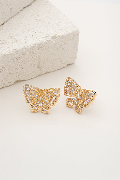 Conjunto Borboleta Cravejada